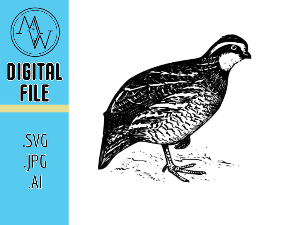 Quail Pheasant Vector Art, Laser Cut CNC Design (Digital File)